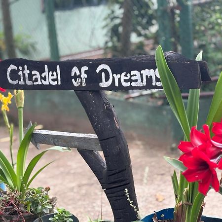 شقة Citadel Of Dreams إيلا المظهر الخارجي الصورة