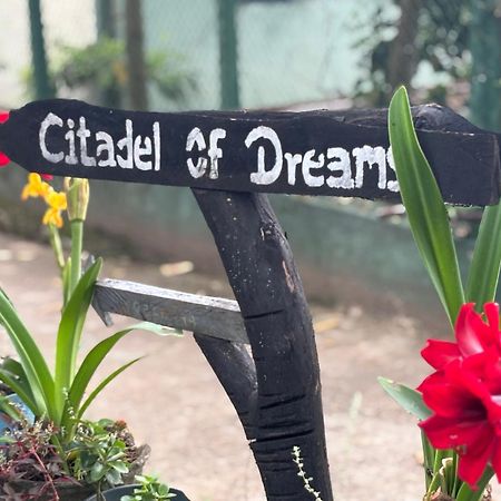 شقة Citadel Of Dreams إيلا المظهر الخارجي الصورة