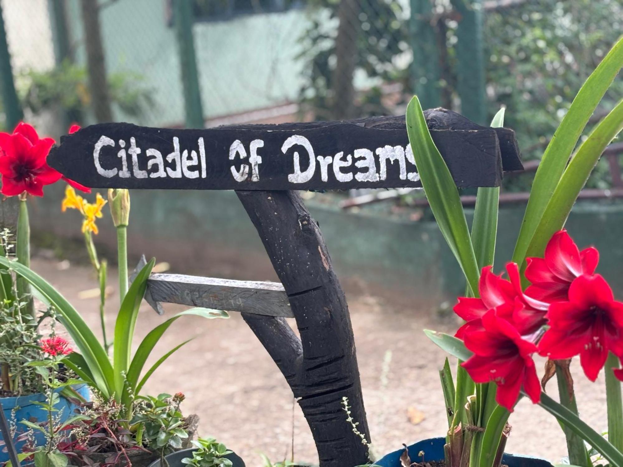 شقة Citadel Of Dreams إيلا المظهر الخارجي الصورة